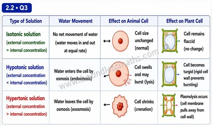 Effect of isotonic, hypotonic, and hypertonic solutions on animal cells and plant cells — water movement, cell swelling, shrinking, and plasmolysis | Class 9 Science Chapter 2